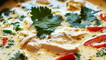 Crockpot Thai Coconut Chicken Soup Recipe