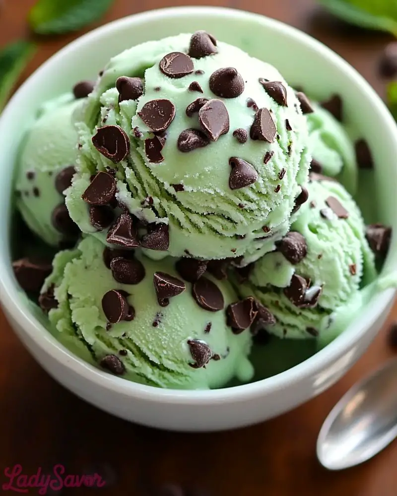 Mint Chocolate Chip Ice Cream Mint Chocolate Chip Ice Cream Recipe 1