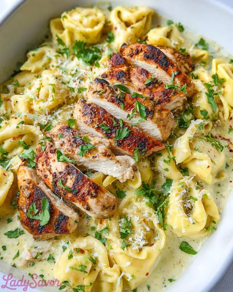 Asiago Tortelloni Alfredo With Grilled Chicken Asiago Tortelloni Alfredo With Grilled Chicken