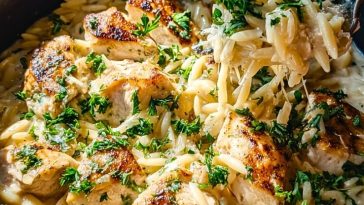 Creamy Parmesan Chicken and Orzo